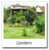 Landscape Garden